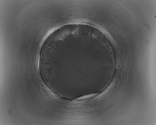 X0000113851224200910081639