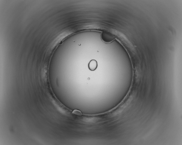 X0000113851225200910081639