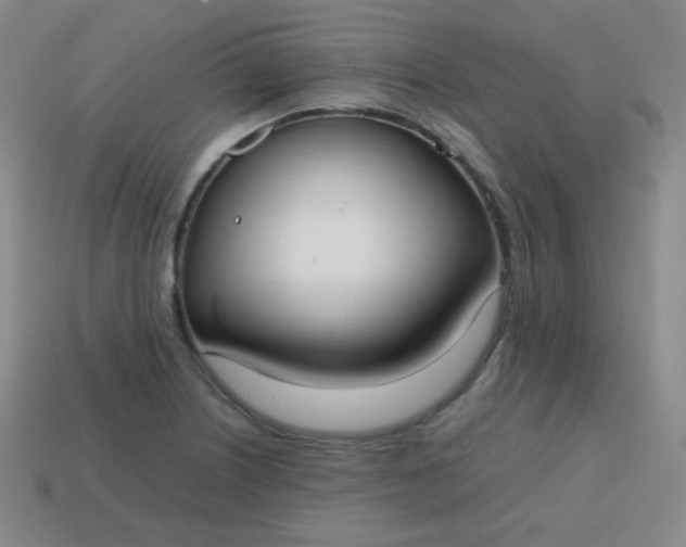 X0000113851226200910081639