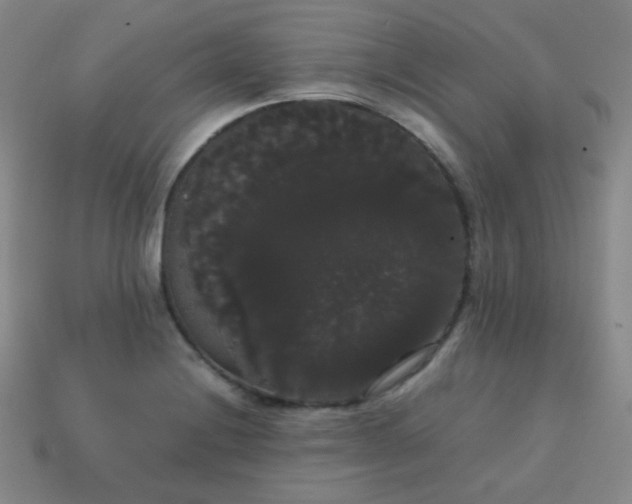 X0000113851228200910081639