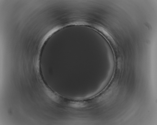 X0000113851229200910081639