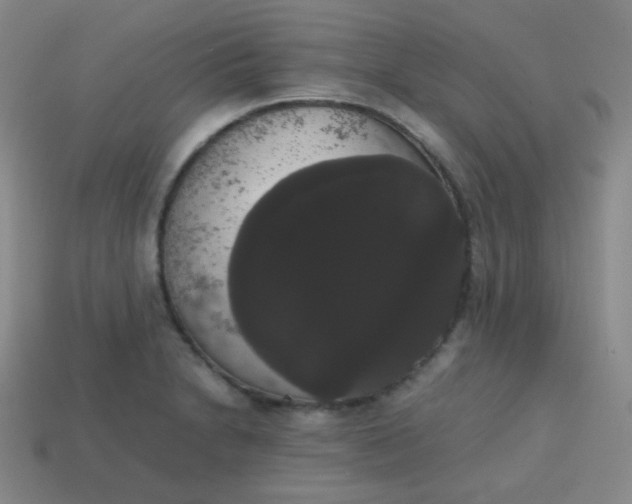 X0000113851230200910081639