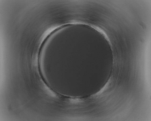 X0000113851231200910081639