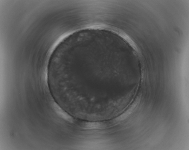 X0000113851232200910081639