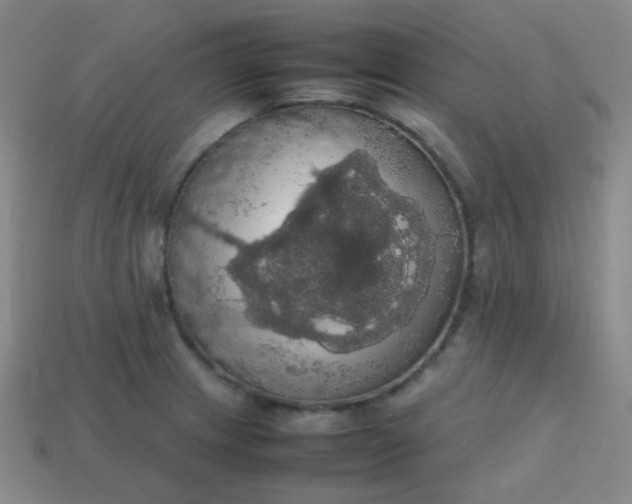 X0000113851233200910081639