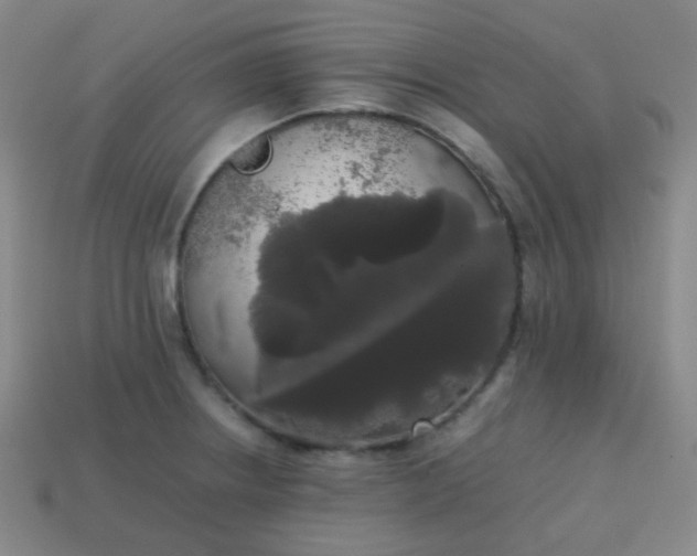 X0000113851234200910081639