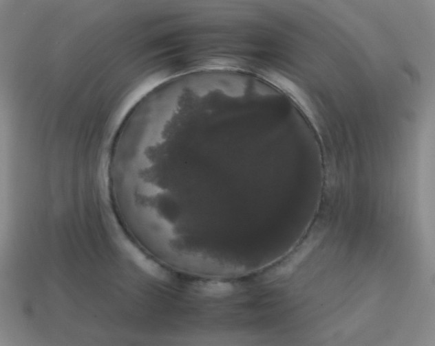 X0000113851235200910081639