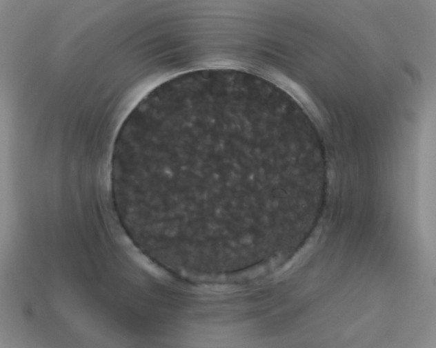 X0000113851236200910081639