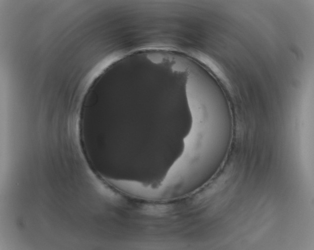 X0000113851237200910081639