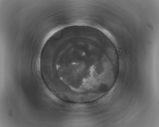 X0000113851238200910081639