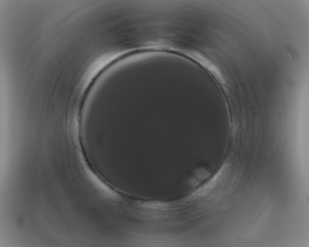 X0000113851239200910081639