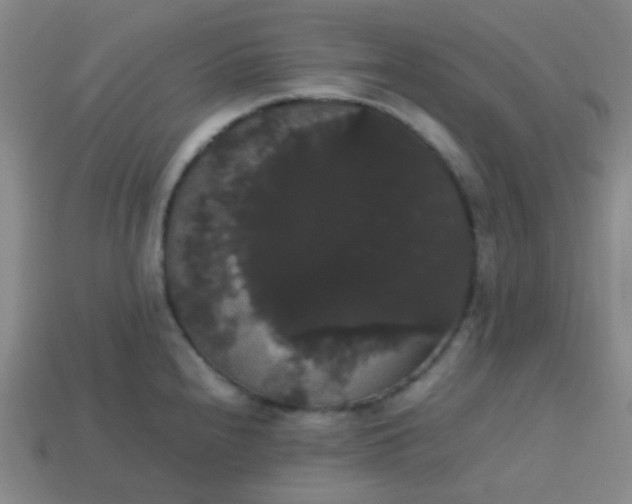 X0000113851240200910081639