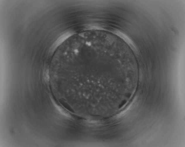 X0000113851241200910081639