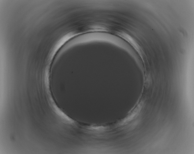 X0000113851243200910081639