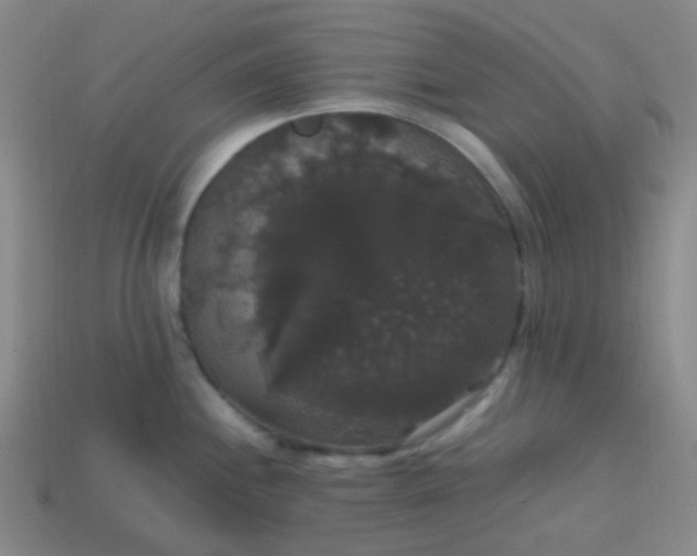 X0000113851244200910081639