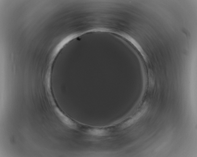 X0000113851245200910081639