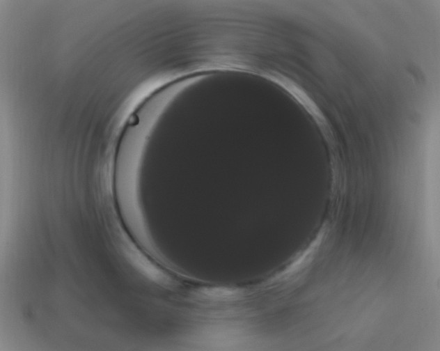 X0000113851246200910081639