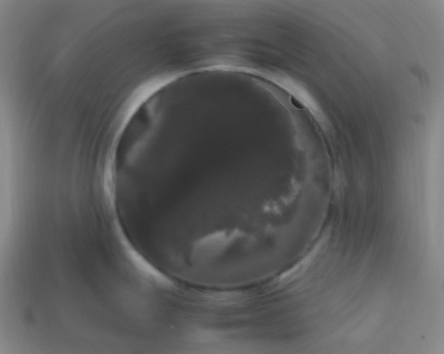 X0000113851247200910081639