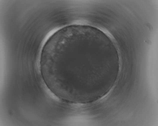 X0000113851248200910081639