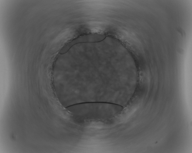 X0000113851249200910081638