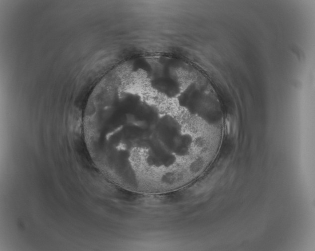 X0000113851251200910081638