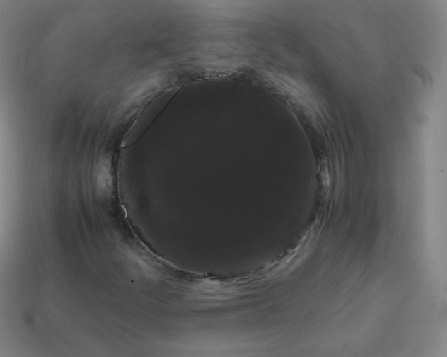 X0000113851252200910081638