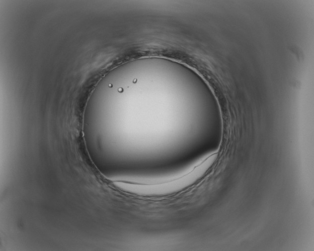 X0000113851253200910081638