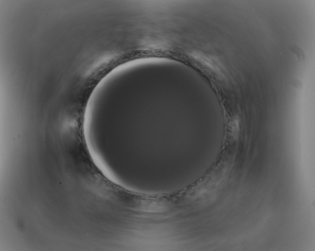 X0000113851254200910081638