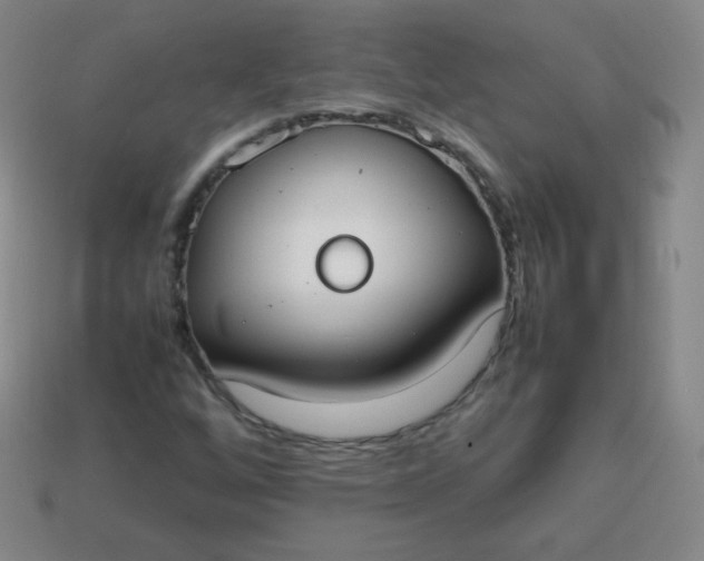 X0000113851256200910081638