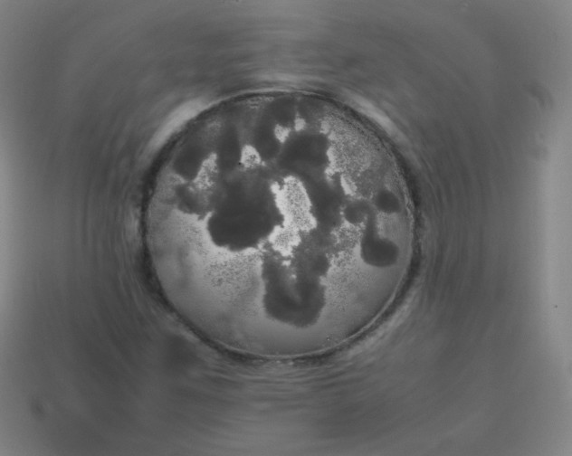 X0000113851259200910081638