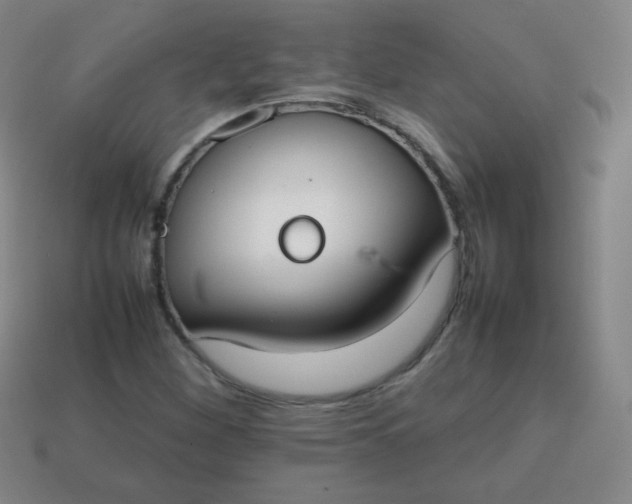 X0000113851260200910081638