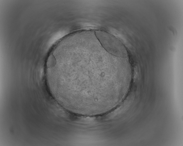 X0000113851261200910081638