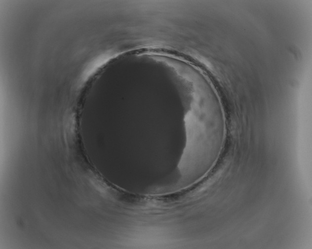 X0000113851263200910081638