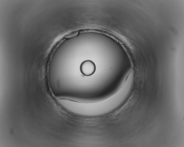 X0000113851264200910081638