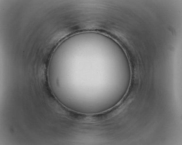 X0000113851265200910081638