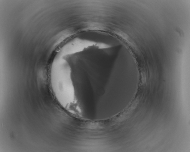 X0000113851266200910081638