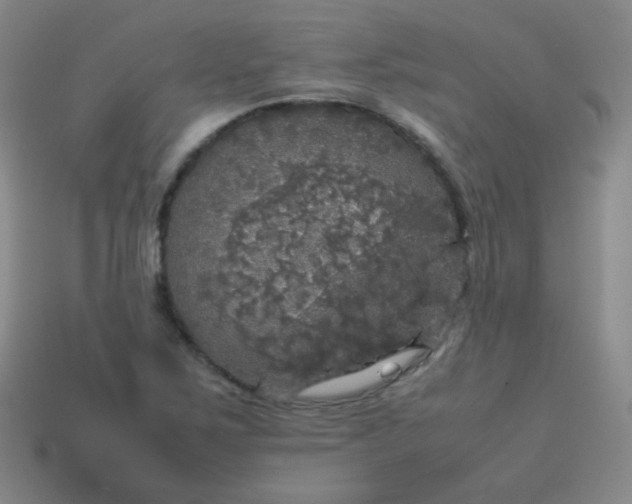 X0000113851267200910081638