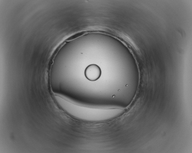 X0000113851268200910081638