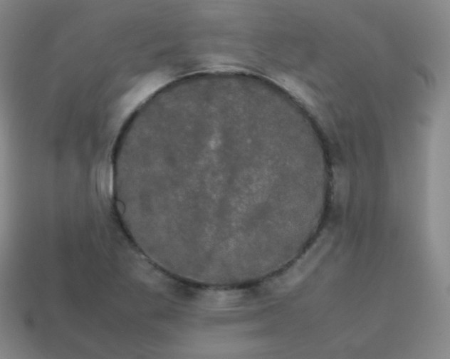 X0000113851269200910081638