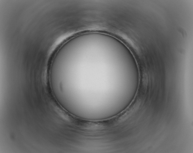 X0000113851270200910081638