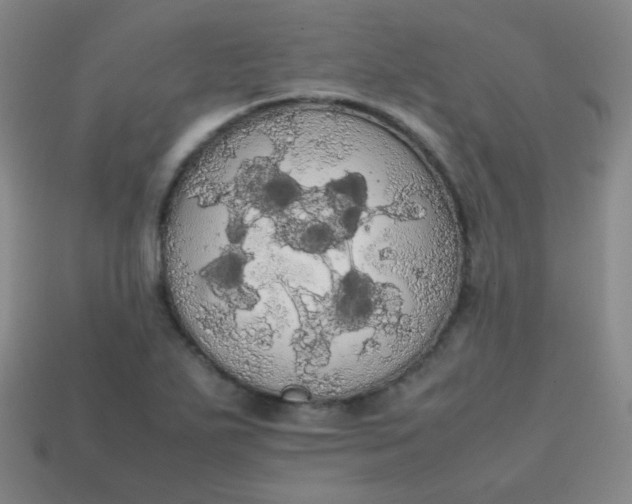 X0000113851271200910081638