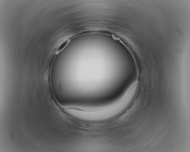 X0000113851273200910081638