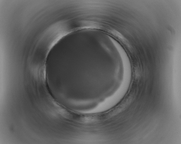 X0000113851274200910081638