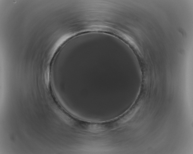 X0000113851275200910081638