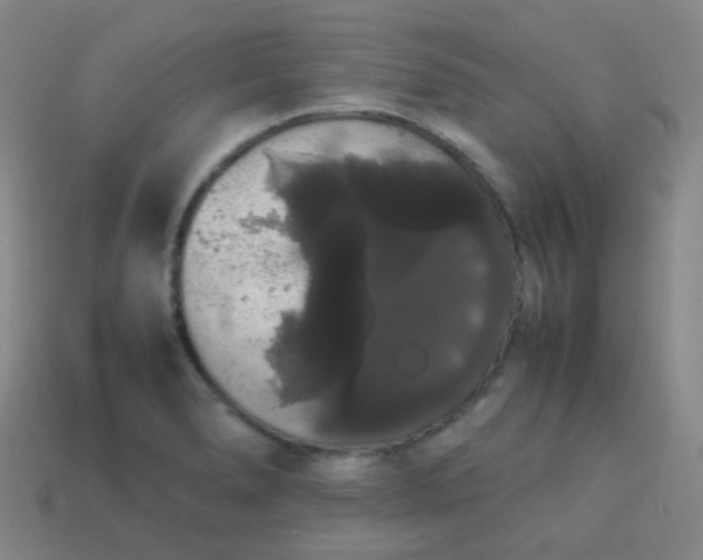 X0000113851278200910081638