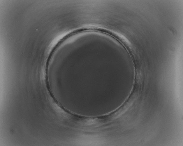 X0000113851279200910081638