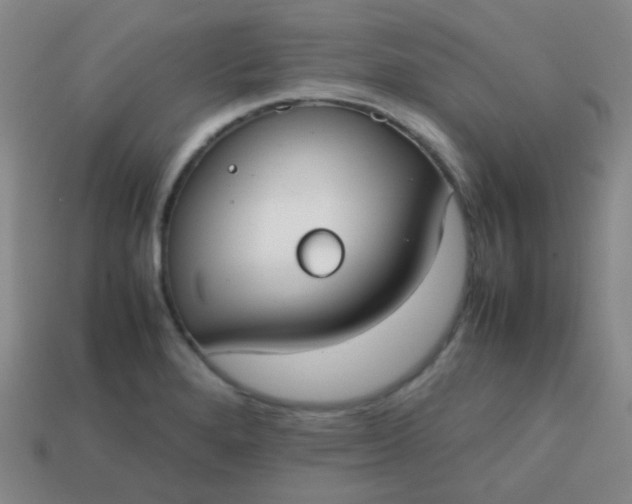 X0000113851280200910081638