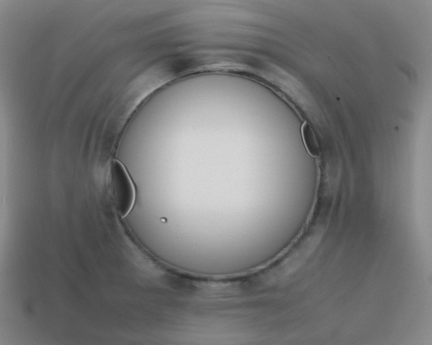 X0000113851281200910081638