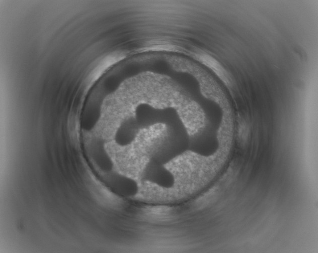 X0000113851282200910081638