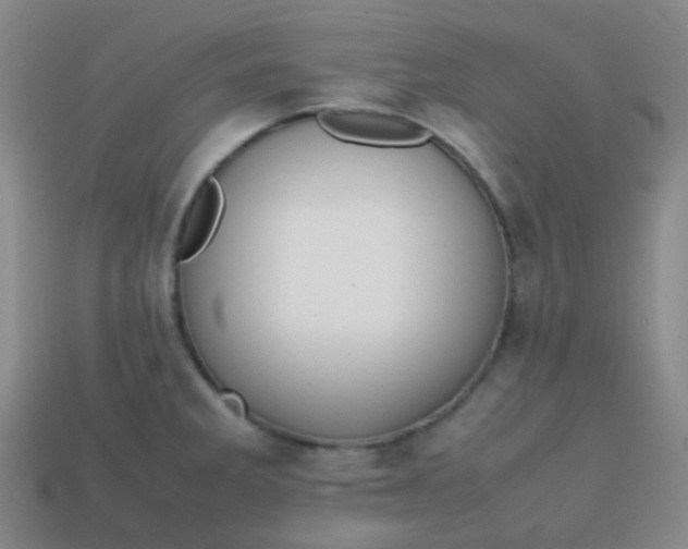 X0000113851285200910081638